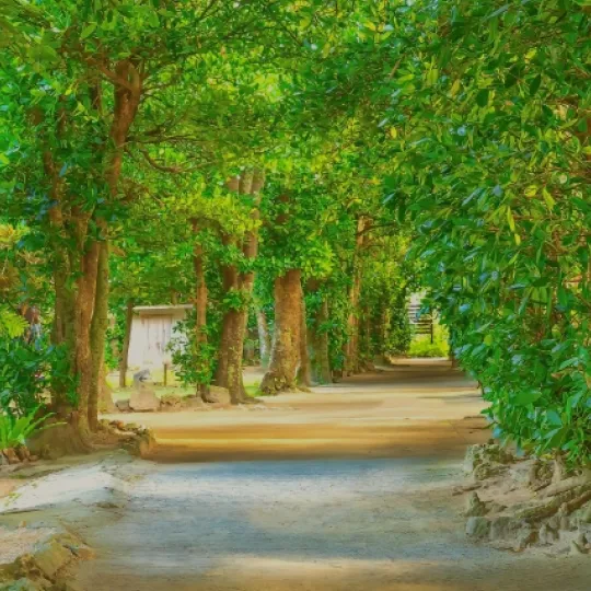 本島北部エリアのレンタカーを探す