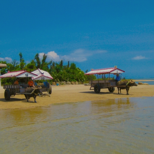 石垣島のレンタカーを探す