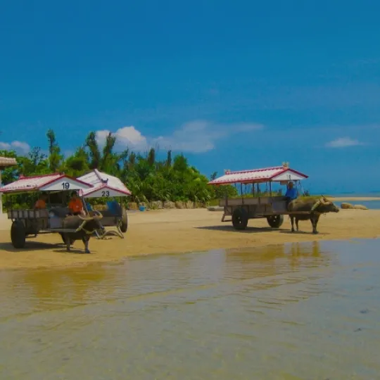 石垣島のレンタカーを探す