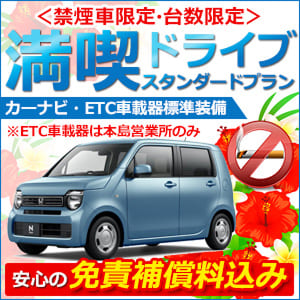 石垣島エリアのレンタカープランイメージ