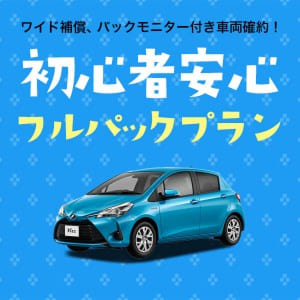 石垣島エリアのレンタカープランイメージ