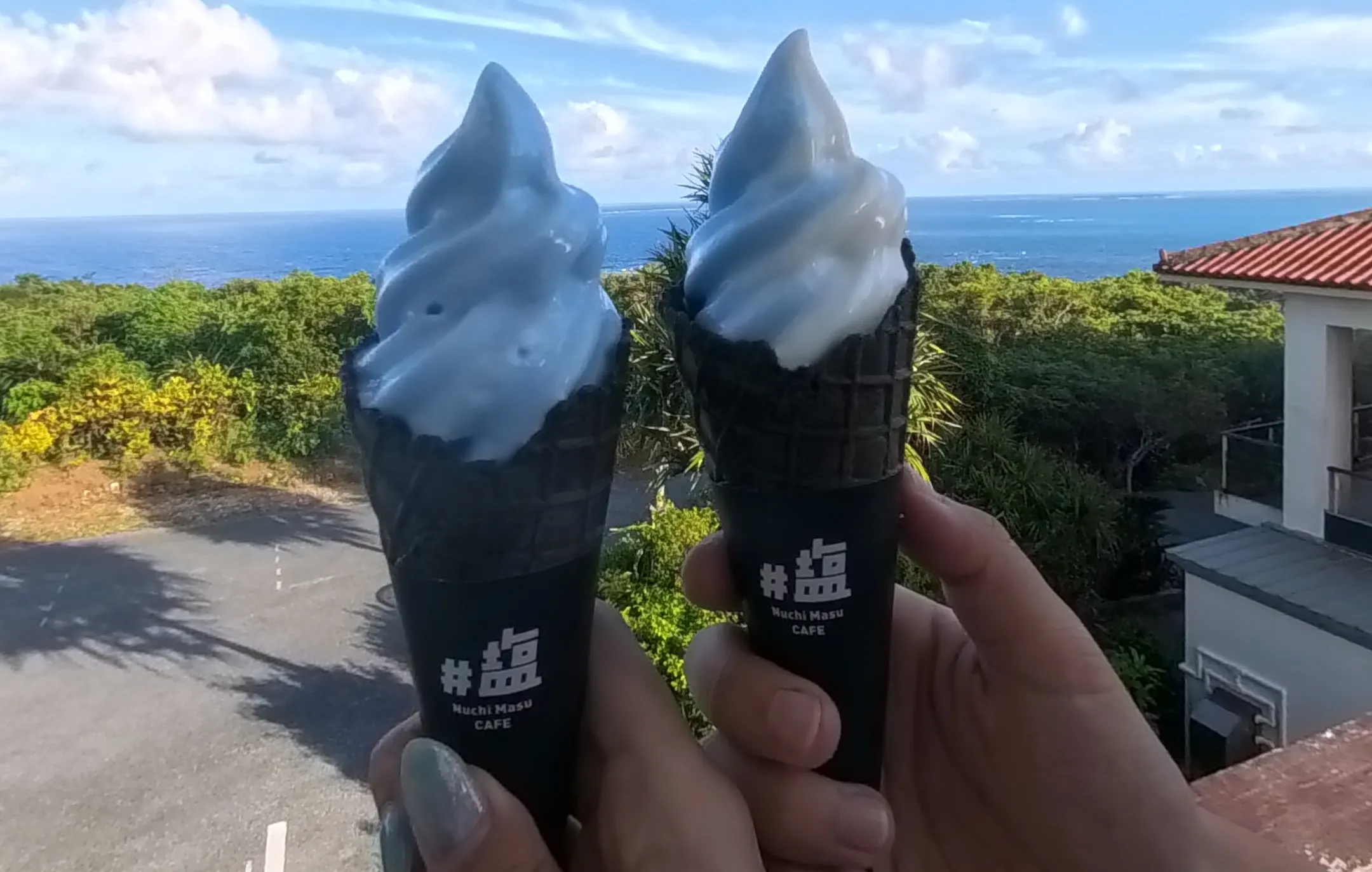 観光の休憩に食べたい塩ソフトクリーム